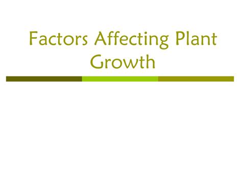 PPT - Factors Affecting Plant Growth PowerPoint Presentation, free download - ID:1770496