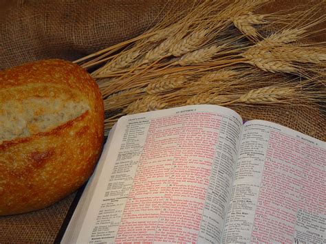 Bible Quotes About Bread. QuotesGram