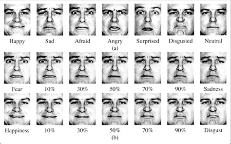 Ekman 60 Faces Task | Attention Deficit Disorder Prosthetic Memory Program