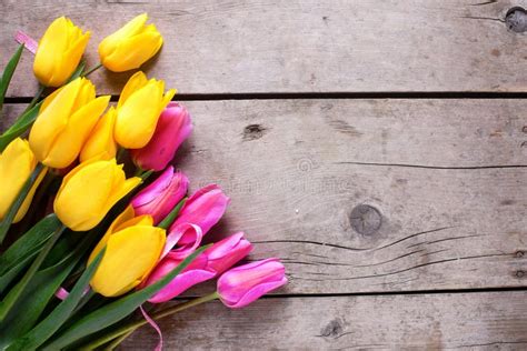 Bright Pink and Yellow Spring Tulips with Ribbon on Aged Woode Stock Image - Image of bunch ...