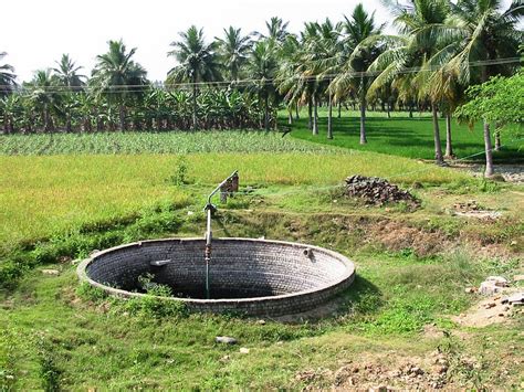 20% of Groundwater Wells May Run Dry, Prompting Concerns About Water Security | Earth.Org