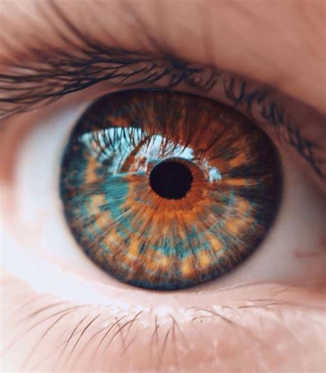 Different human eye colors - associationhery