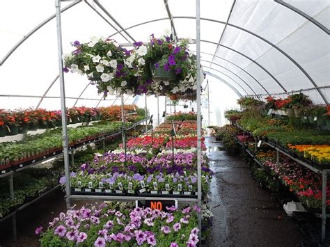 Greenhouse and Nursery - Oregon Agriculture in the Classroom