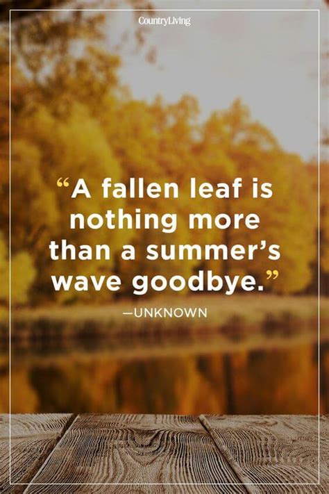 goodbye summer quotes | EntertainmentMesh