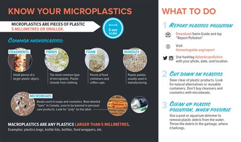 Microplastics can be found across waterways and on shorelines. To help simplify this macro ...