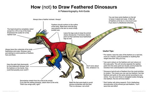 How (not) to Draw Feathered Dinosaurs by Osmatar on DeviantArt