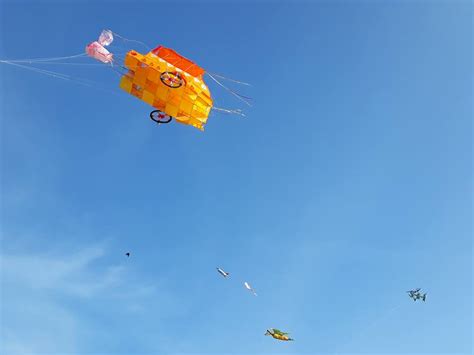 Attractive Kite Flying Competition in Valveddithurai | Tamil Diplomat