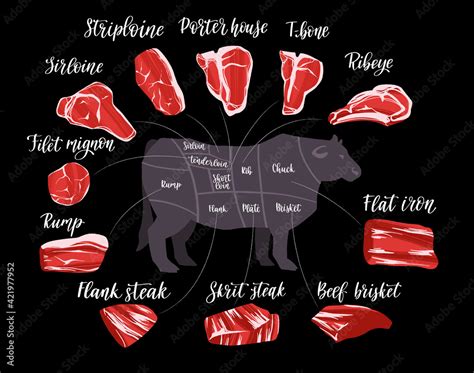 Steak cuts set. Beef cuts chart and pieces of beef, used for cooking steak and roast. Stock ...