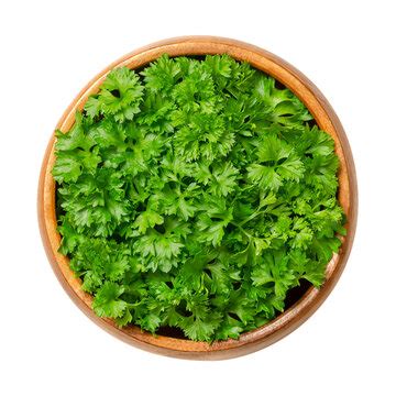 "Curly Parsley" Images – Browse 452 Stock Photos, Vectors, and Video | Adobe Stock