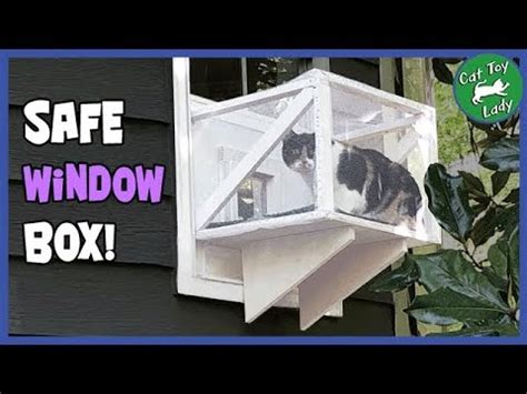 Diy Window Box For Cats : 12 Of The Cutest Window Catio Ideas On Instagram Daily Paws : Things ...