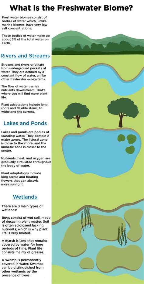 Aquatic Biomes — Marine & Freshwater - Expii