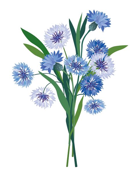 Flowers isolated. Floral summer bouquet. 531003 Vector Art at Vecteezy