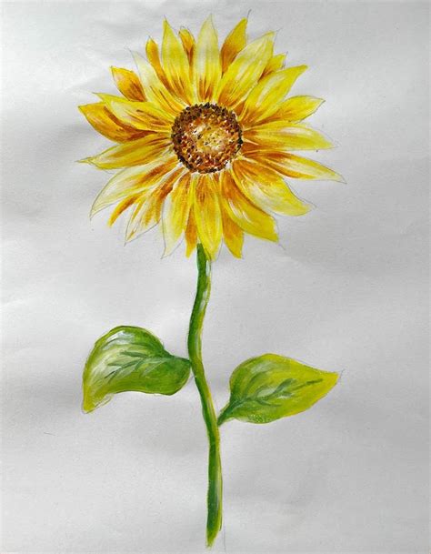 Sunflower Painting | ArtBase