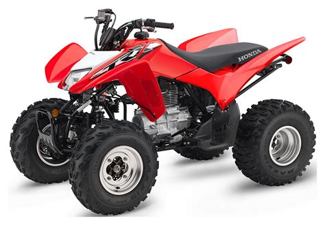 New 2019 Honda TRX250X ATVs in Allen, TX