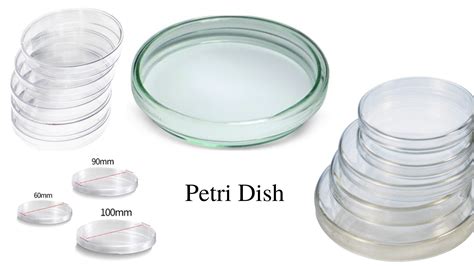 Petri Dish: Types, Uses, and Automated Petri Dish Filler • Microbe Online