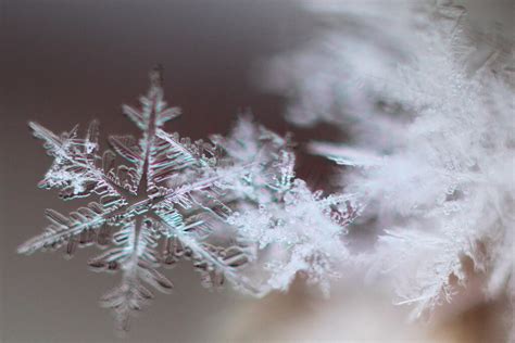 20 Majestic Close-Up Pictures of Snowflakes - The Photo Argus