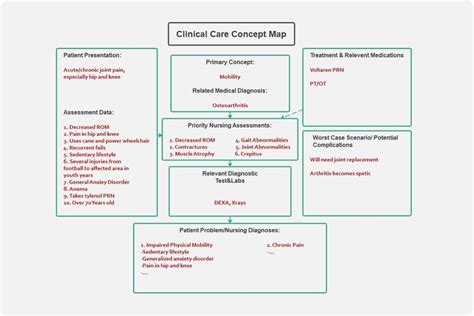 Nursing Concept Map Template