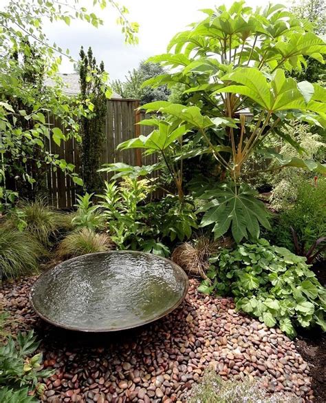 20+ Small Water Garden Ideas – HomeDecorish