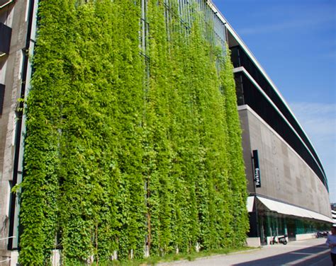 Green walls are essentially a living cladding system