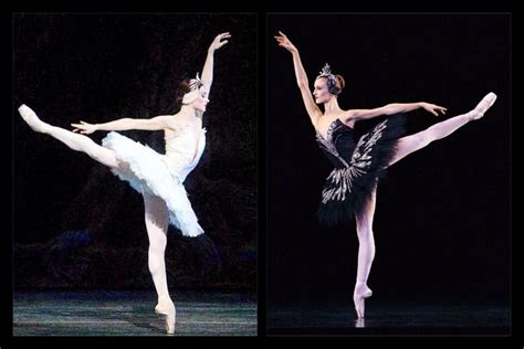 Are you the White Swan or the Black Swan? | Black swan, Swan lake ballet, White swan