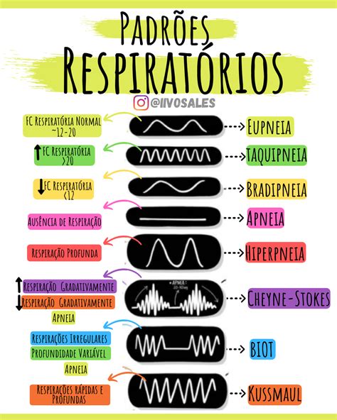 #examefisico #auscultadotorax #auscultapulmonar #aulsculta Respiração #sistemaRespiratorio # ...