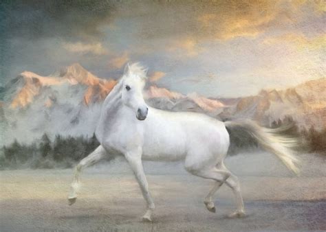 art, Painting, Beauty, Horse, Oil, Beautiful, White Wallpapers HD / Desktop and Mobile Backgrounds