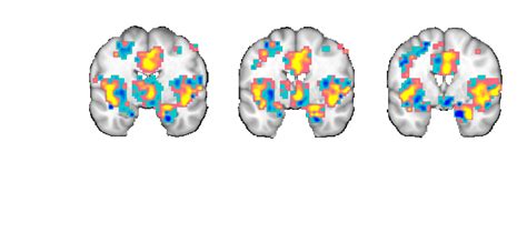 How Do I Visualize Data?