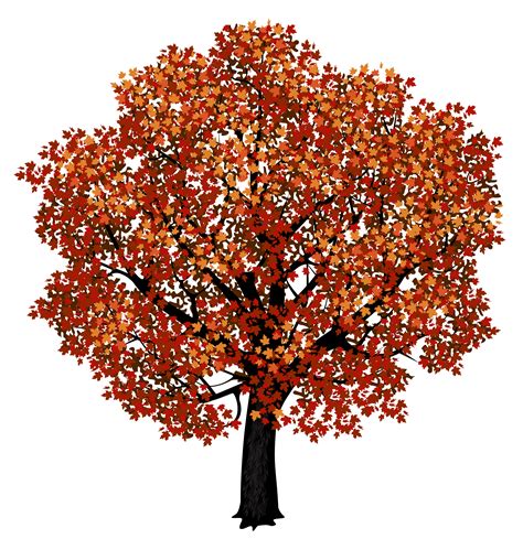 Orange maple tree clipart - Clipground