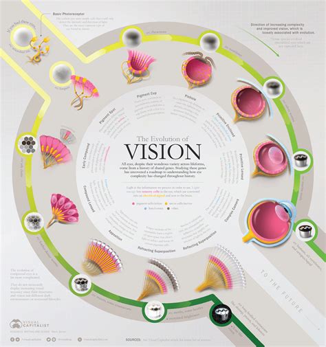 The Evolution of Vision on Behance