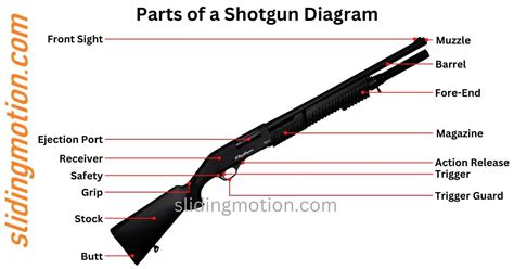 Guide for 16 Key Parts of a Shotgun: Names Functions & Diagram