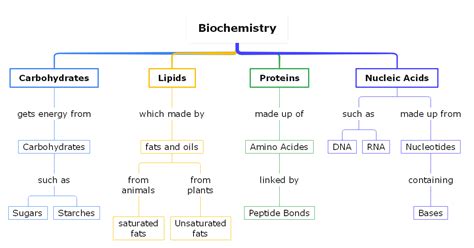 Biology Concept Map Complete Guide with 30+ Examples | EdrawMind