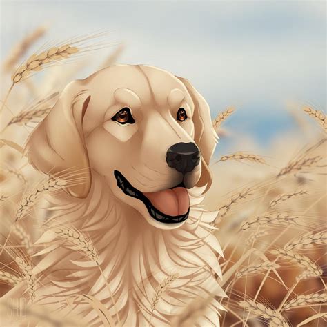 Golden Retriever by Mr-SKID on DeviantArt