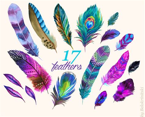 Watercolor Feathers | Decorative Illustrations ~ Creative Market