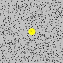 Brownian motion - Wikipedia