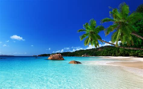 Tropical Island Wallpaper - WallpaperSafari