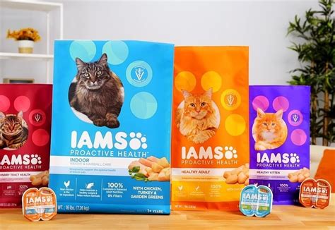 12 Best Cat Food Brands: Keep Health of Your Cats and Kittens - Cherry Picks