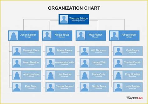 Org Chart Template Word - Tisnyi.com