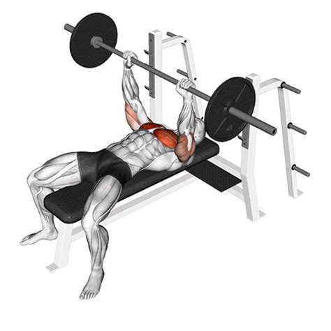 Barbell Standard Bench Press by John M. - Exercise How-to - Skimble