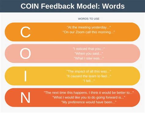 The COIN Feedback Model Explained