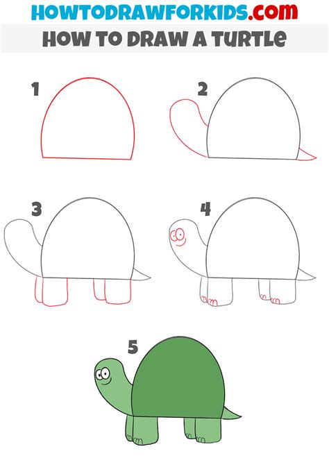 How To Draw A Turtle Step By Step