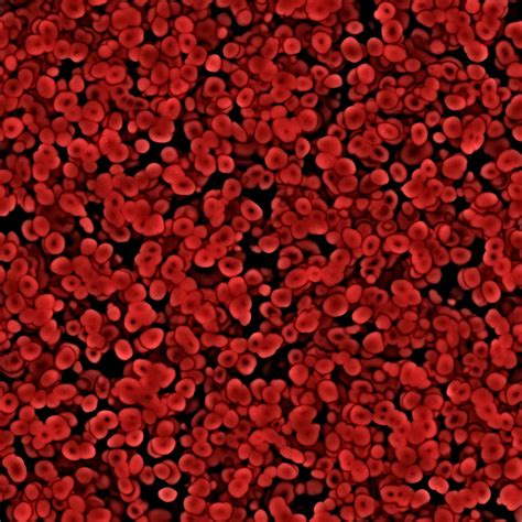 Excellent background image of red blood cells under the microscope