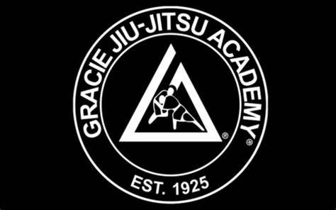 Gracie Jiu Jitsu Wallpapers - Top Free Gracie Jiu Jitsu Backgrounds - WallpaperAccess