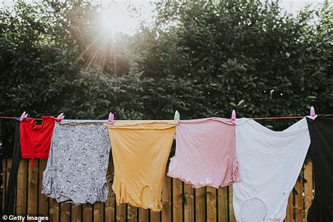 I'm a laundry expert and these are the best days to dry your clothes outside | Daily Mail Online