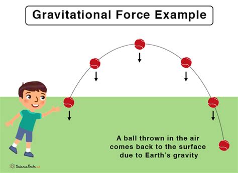 Gravitational Force Diagram