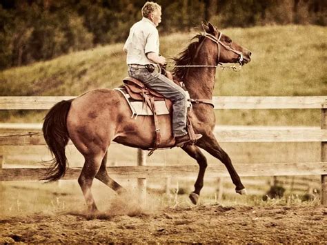 Why Horses Pin Their Ears Back! What They are Signaling