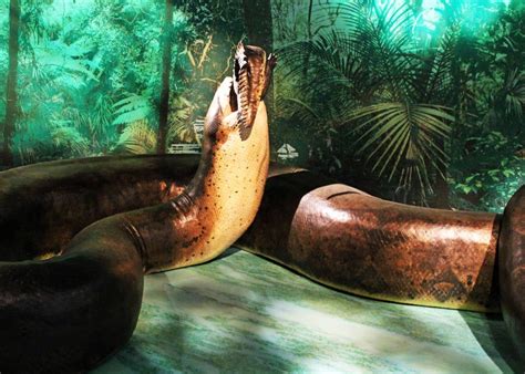 Titanoboa, The Gigantic Snake That Terrorized Prehistoric Colombia