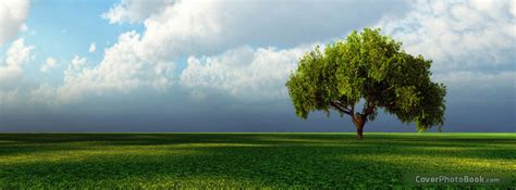 Landscape Lone Tree Facebook Cover - Nature