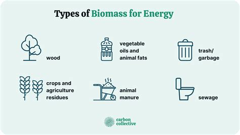 Types Of Biomass Fuel