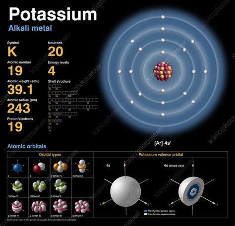 Potassium, atomic structure - Stock Image - C018/3700 - Science Photo Library