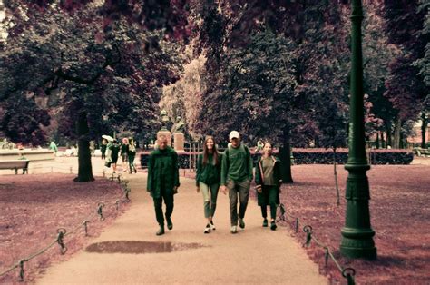 Group of Friends Walking down Park Alley · Free Stock Photo